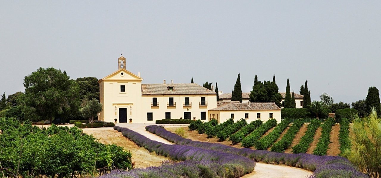 Dominio de Valdepusa